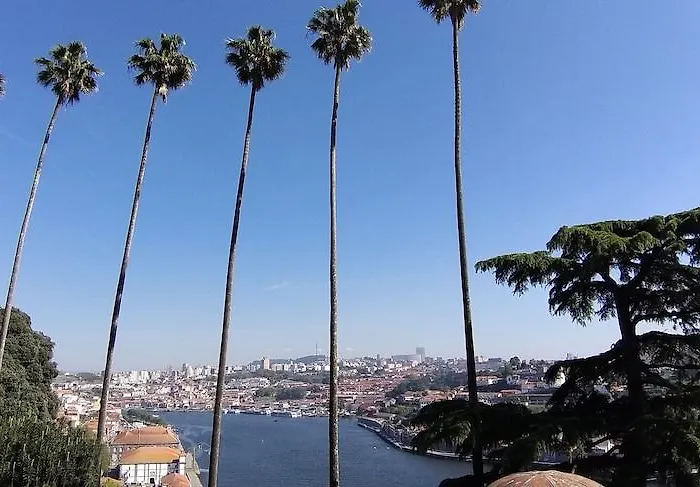 Premium Downtown Hotel 4*