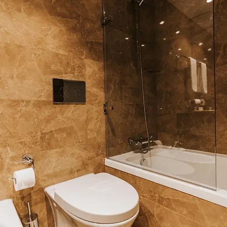 Hotel Premium Downtown 4*